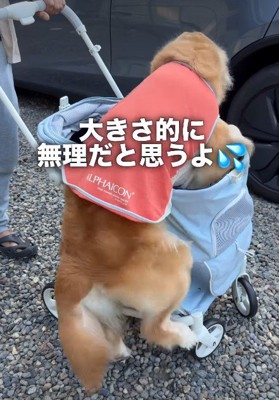 ジタバタしながら中へ