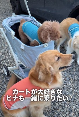 「私も乗りたい!」