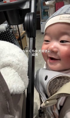 ワンコに熱い視線を注いでいます