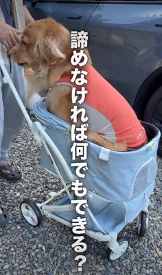 すっぽり収まった!!