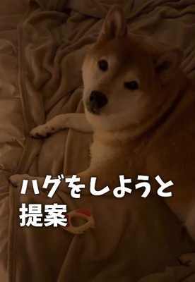「ハグする？」