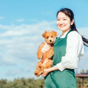 犬と関わることができる『職種』10選 未経験でも働ける?人気な仕事までご紹介