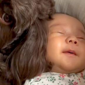赤ちゃんが『生まれたときから犬と育った』結果→成長すると、犬を見るたびに…あまりにも尊い反応に絶賛続々「可愛い」「笑い声につられるww」