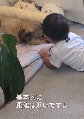距離が近い男の子