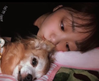 女の子と犬