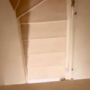 体調を崩し、2階で寝ていた結果→ふと『階段の下』を見に行ってみると…とんでもなく健気な『尊い光景』が240万再生「なんていい子」「泣ける」