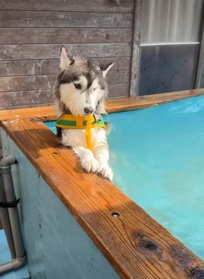 「楽しそうでいいなあ」