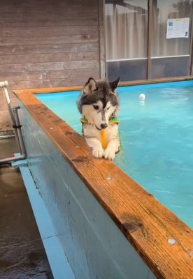 「水ないとこないの…?」