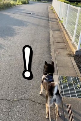 「なんかおる!」