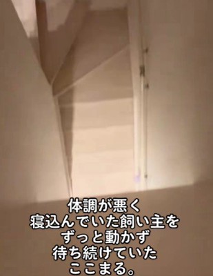 「誰かいるのかな?」