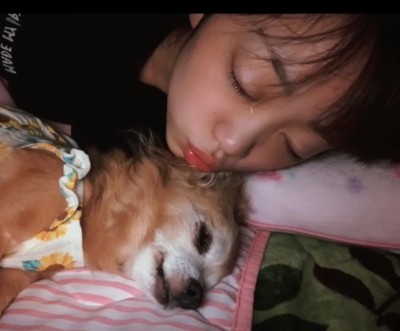 犬にキスする女の子