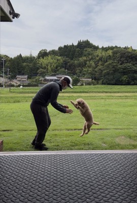 尊い