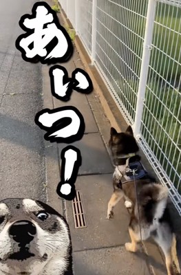 「逃げたな!!」