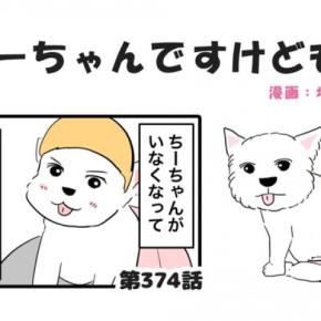 ちーちゃんですけどもっ【第374話】「会いたいな」