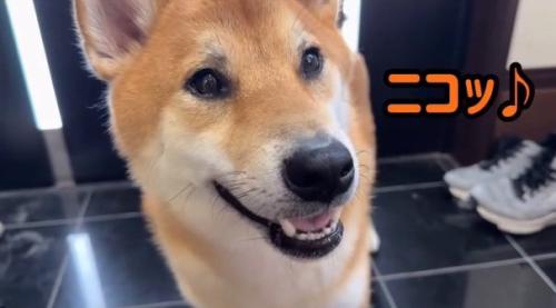 笑顔のボブくん