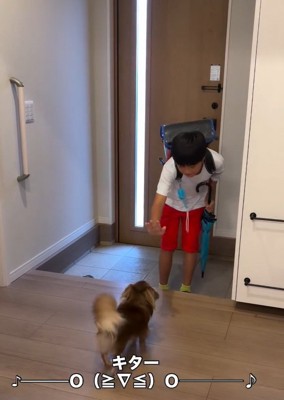 手を突き出すお兄ちゃん