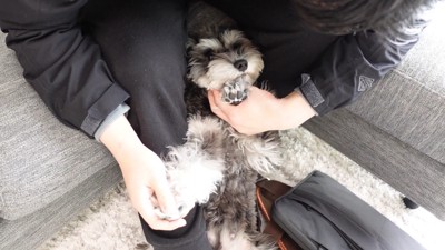 旦那さんとの触れ合いタイム
