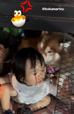 扉を開けてみると…