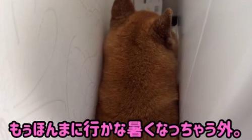 ママの話を聞くロックくん