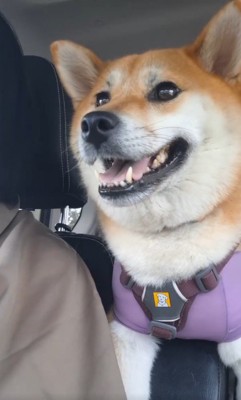 無邪気な笑顔が可愛い♡