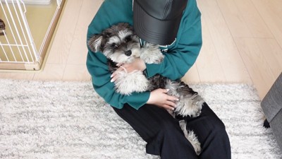 抱っこしてあやしてもらうティノちゃん