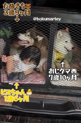 ドッグスペースに避難!