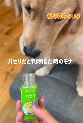 「これ、どうしたの？」