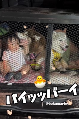 「バイバイ」