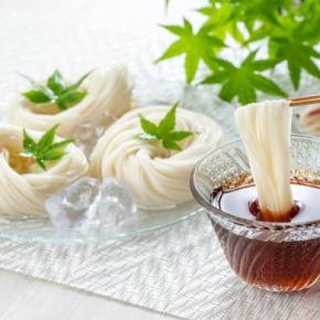 犬は『そうめん』を食べても大丈夫？正しい与え方や一日の適正量まで解説