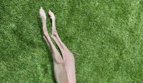 スラッ