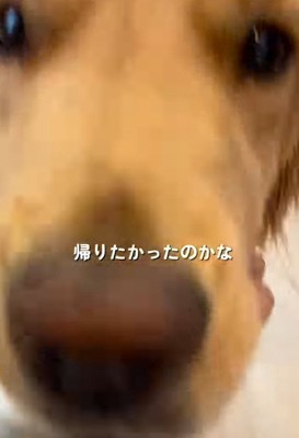 嬉しそうに顔を寄せる