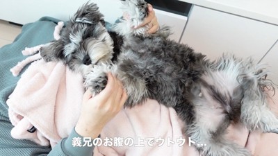 旦那さんと一緒にお昼寝♪