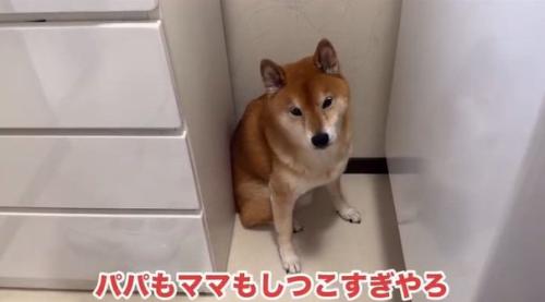 説得するパパとママ