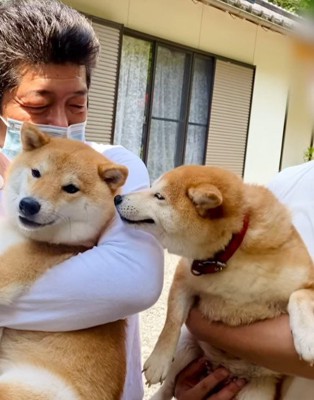 小雨ちゃんの顔にキス