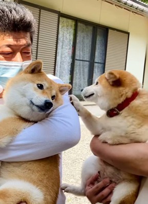 「会いたかったよ」