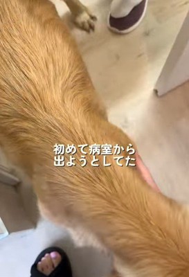 初めて自ら外へ