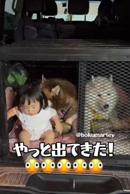 観念したと思いきや!?
