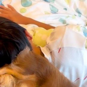 発熱で寝込んだ小学5年生の男の子→犬が寄り添っていたら、手が伸びてきて…相思相愛な光景が11万再生「大好きが伝わる」「兄弟でしかない」