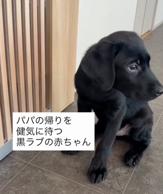 「パパどこだろ…」