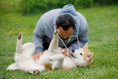 甘える犬と飼い主