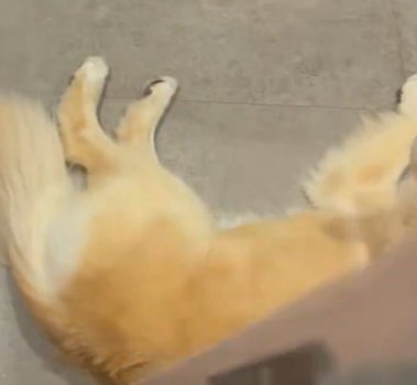 ふわふわ