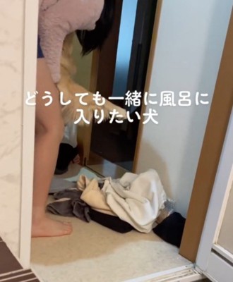 犬の前足を抱えて脱衣所を出ようとする家族