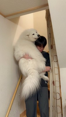 お兄ちゃん