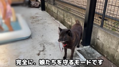 「僕が2人を守らなくちゃ！」