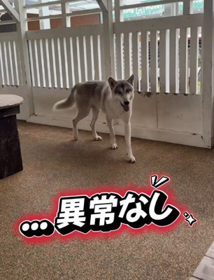 「今日も異常ありません！」