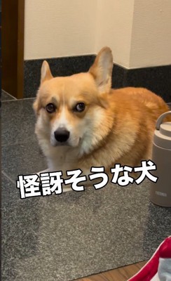 納得いかない時の怪訝そうな表情