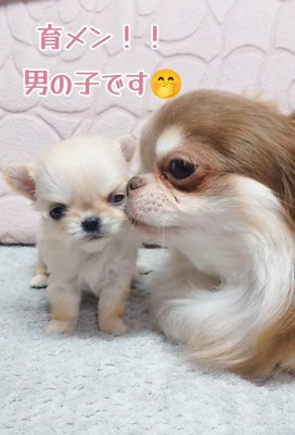 愛されながら育っています