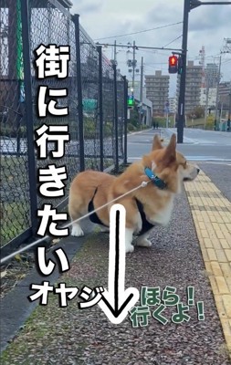 パパさんが反対方向に行こうとしたら…