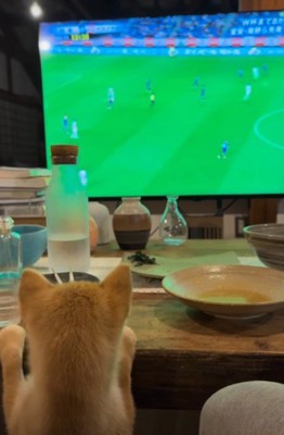 一緒にテレビ鑑賞