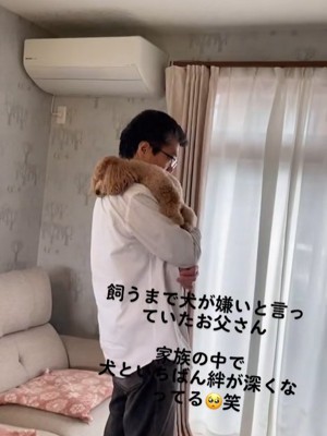 飼い主に抱かれている小型犬